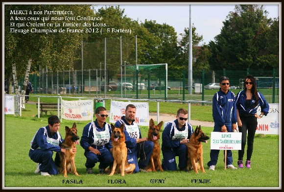 Elevage de la Tanière des Lions eleveur de chiens Berger allemand