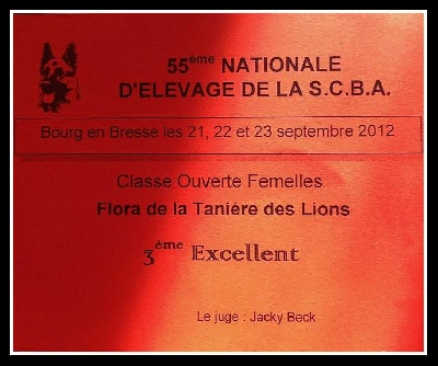 de la Tanière des Lions - Premier Podium Pour la Réunion !!!