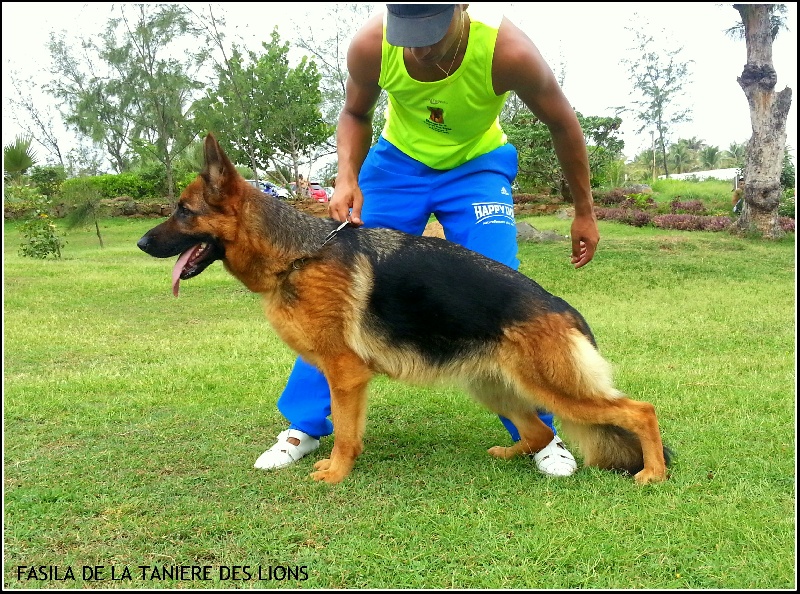 Fasila de la Tanière des Lions