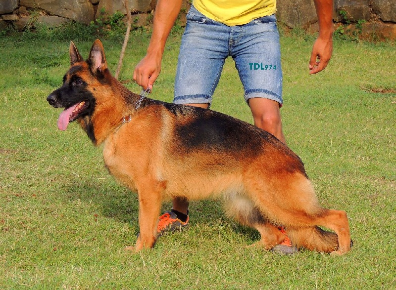 Pumba di poggio del sole