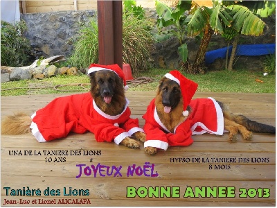 de la Tanière des Lions - 2012 s'en va... Place à 2013 !